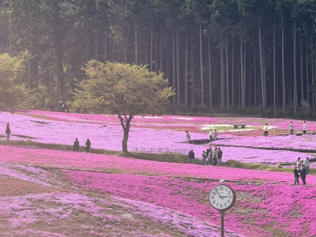 写真⑤.jpeg