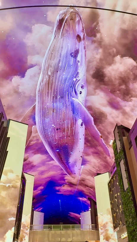 写真⑪.jpeg