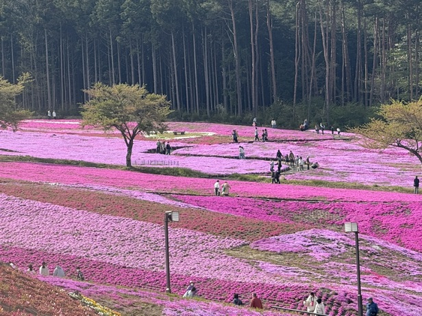 写真㉗.jpeg