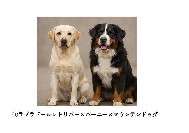 【再】画像②.jpg