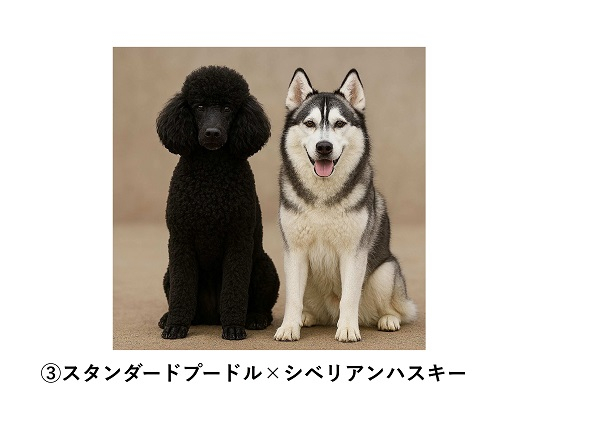 【再】画像④.jpg