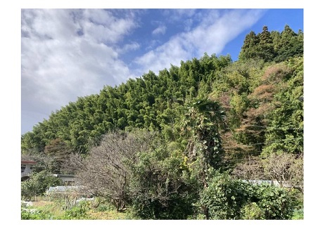 写真1.jpg