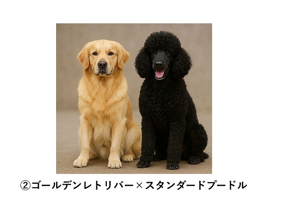 【再】画像③.jpg